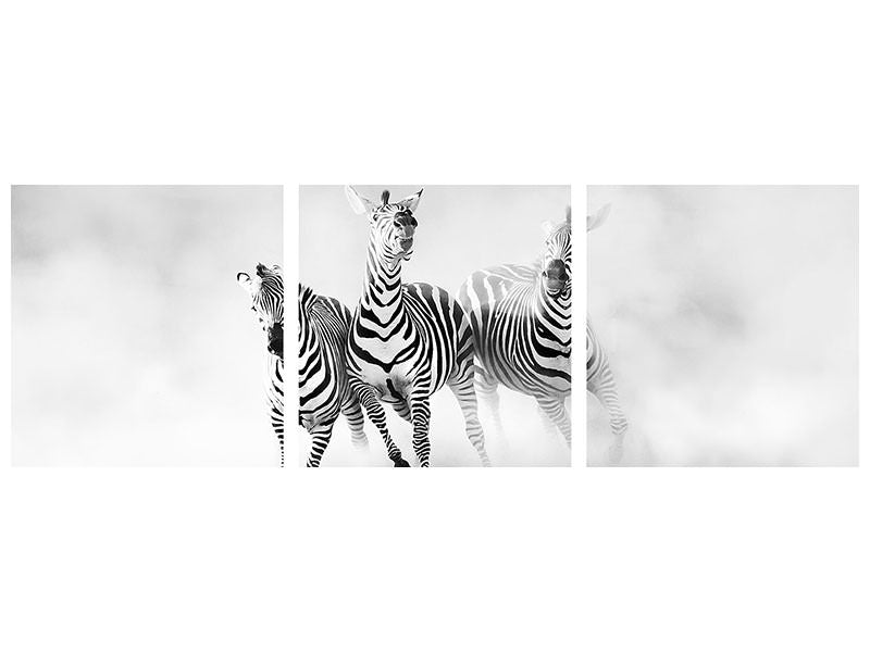 3-piece-canvas-print-zebras