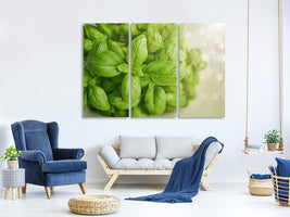 3-piece-canvas-print-a-bouquet-of-basil