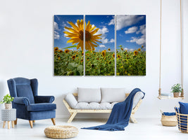 3-piece-canvas-print-a-sunflower-among-many