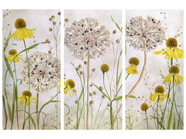 3-piece-canvas-print-alliums-and-heleniums