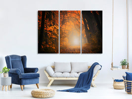 3-piece-canvas-print-autumn-light-in-the-forest