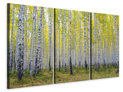 3-piece-canvas-print-autumnal-birch-forest