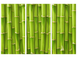 3-piece-canvas-print-bamboo-wall