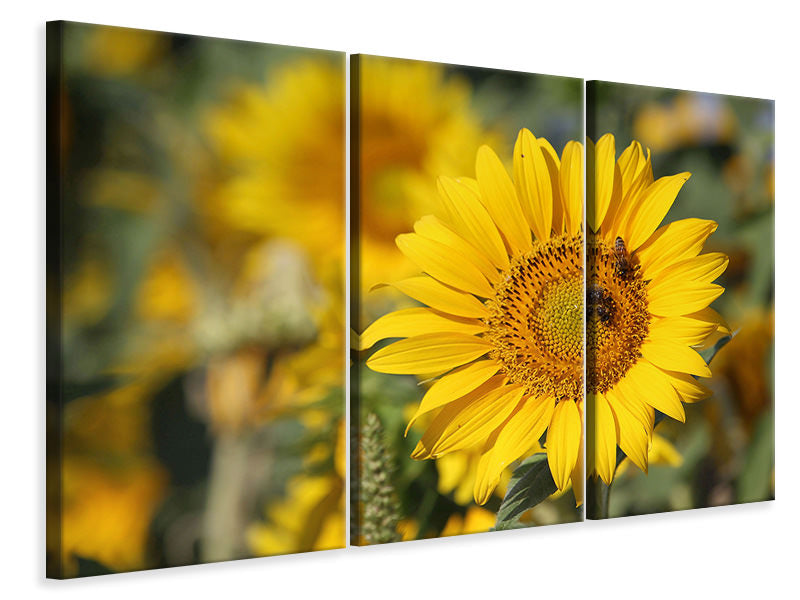 3-piece-canvas-print-bees-at-work