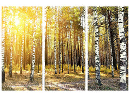 3-piece-canvas-print-birch-forest