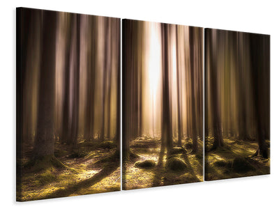 3-piece-canvas-print-breath-of-life