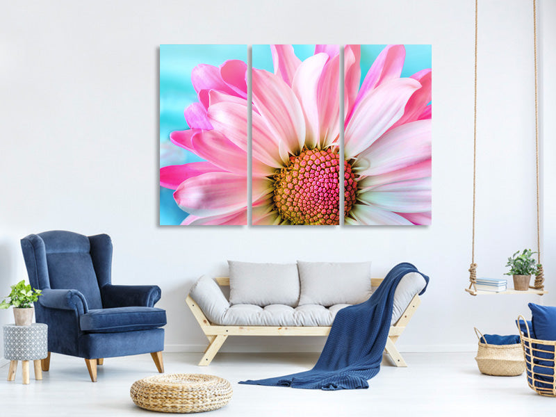 3-piece-canvas-print-colored-flower