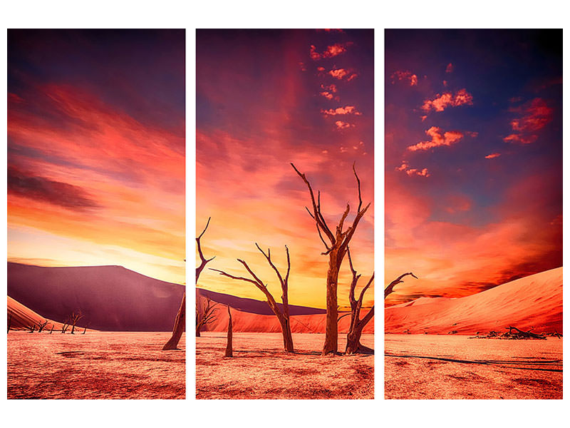3-piece-canvas-print-colorful-desert
