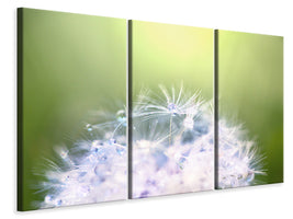 3-piece-canvas-print-dandelion-xl-in-morning-dew