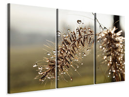 3-piece-canvas-print-drops-of-nature