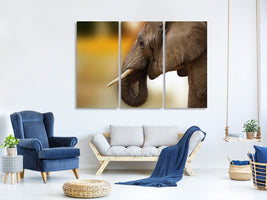 3-piece-canvas-print-elephant-close-up