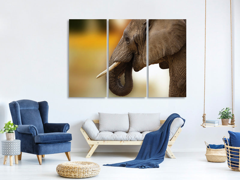 3-piece-canvas-print-elephant-close-up