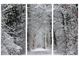 3-piece-canvas-print-enchanted-winter-forest