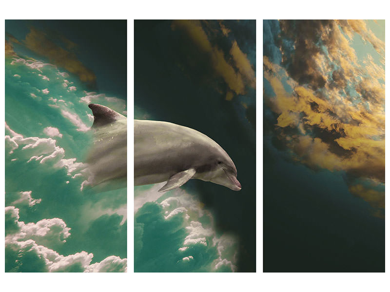 3-piece-canvas-print-fascination-dolphin