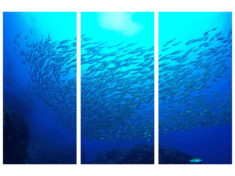 3-piece-canvas-print-fish-world