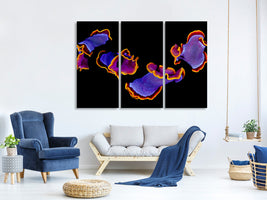 3-piece-canvas-print-flamenco