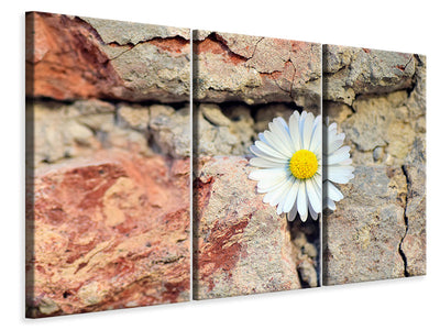 3-piece-canvas-print-flower-in-the-wall