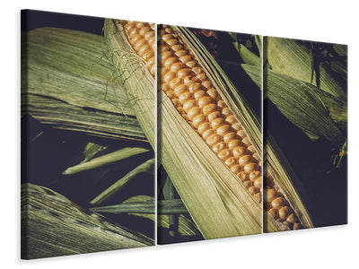 3-piece-canvas-print-fresh-sweetcorn