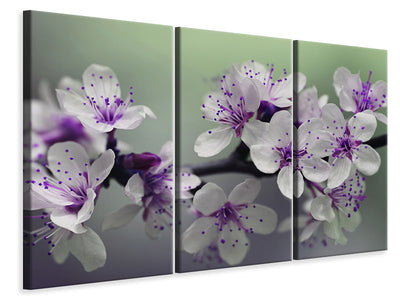 3-piece-canvas-print-heyday