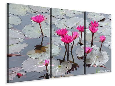 3-piece-canvas-print-jump-in-the-lily-pond