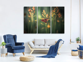 3-piece-canvas-print-last-light