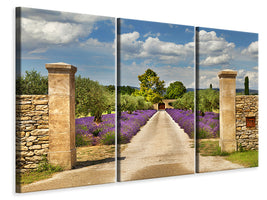 3-piece-canvas-print-lavender-garden