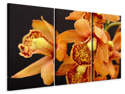 3-piece-canvas-print-orchids-with-orange-flowers