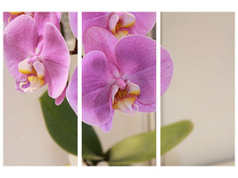 3-piece-canvas-print-orchids-with-purple-flowers-in-xl