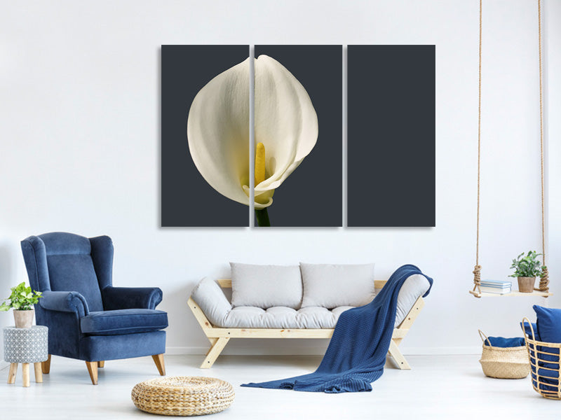 3-piece-canvas-print-proud-calla