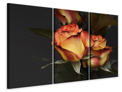 canvas-print-pinewood