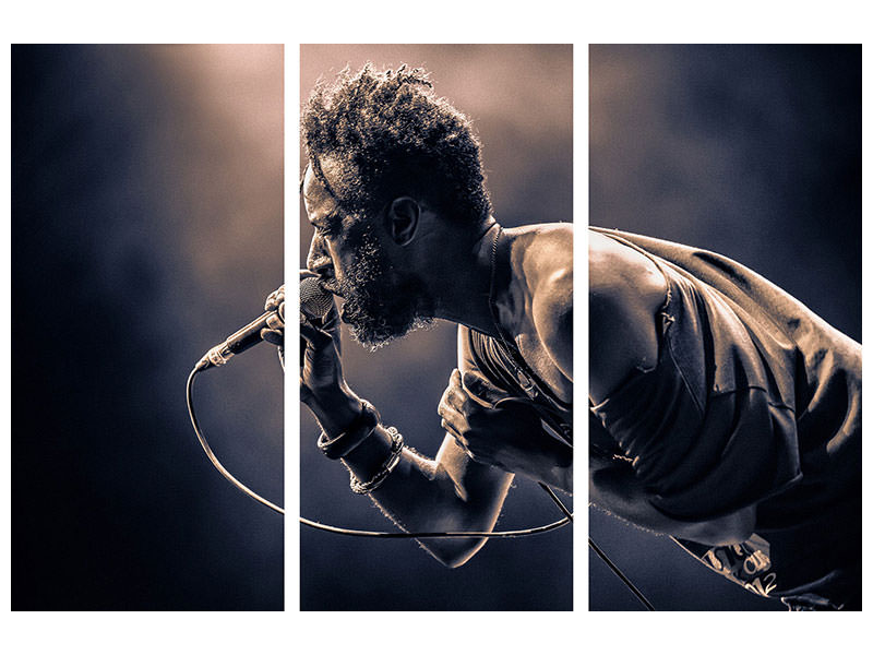 3-piece-canvas-print-saul-williams