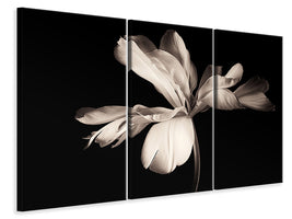 3-piece-canvas-print-simplicity