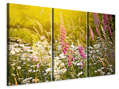 3-piece-canvas-print-summer-flower-meadow