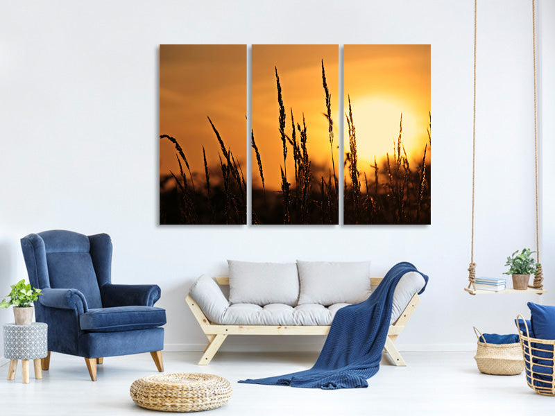 3-piece-canvas-print-sunrise-on-the-field