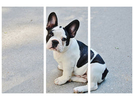 3-piece-canvas-print-sweet-french-bulldog