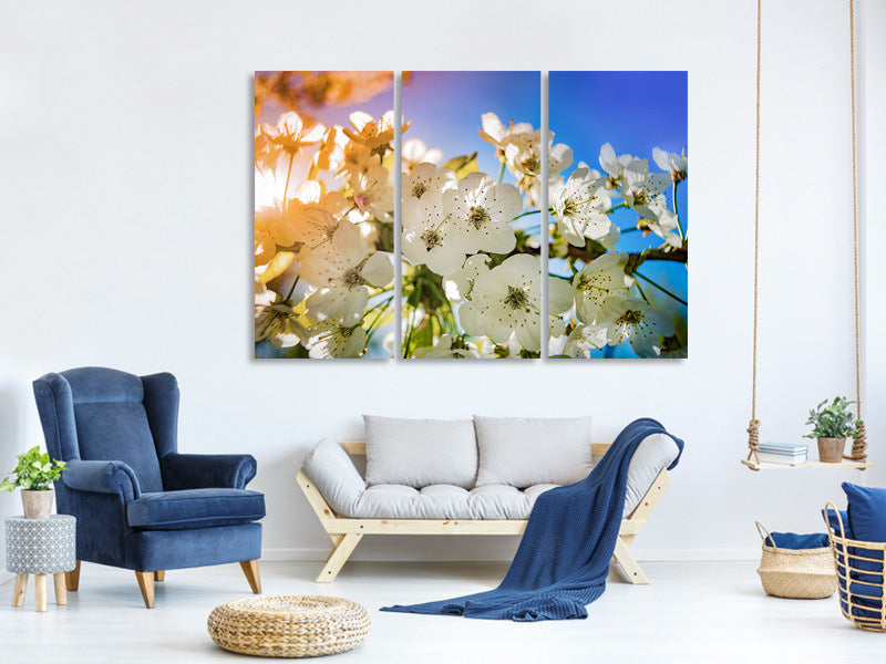 3-piece-canvas-print-the-apple-tree-blossom