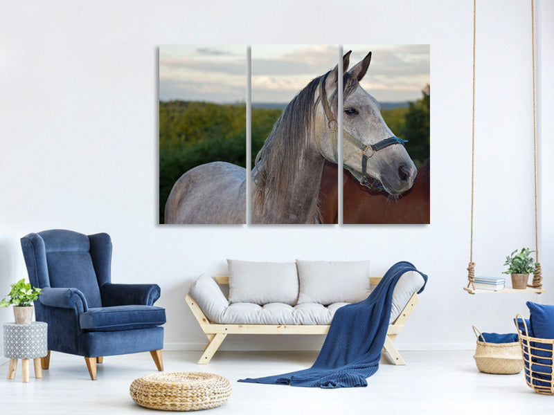 3-piece-canvas-print-the-arabian-thoroughbred