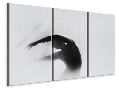 3-piece-canvas-print-the-dance-of-silence