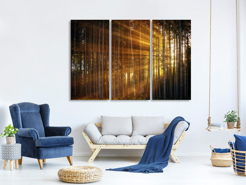 3-piece-canvas-print-trees-in-sunbeams