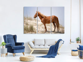 3-piece-canvas-print-wild-spanish-mustang