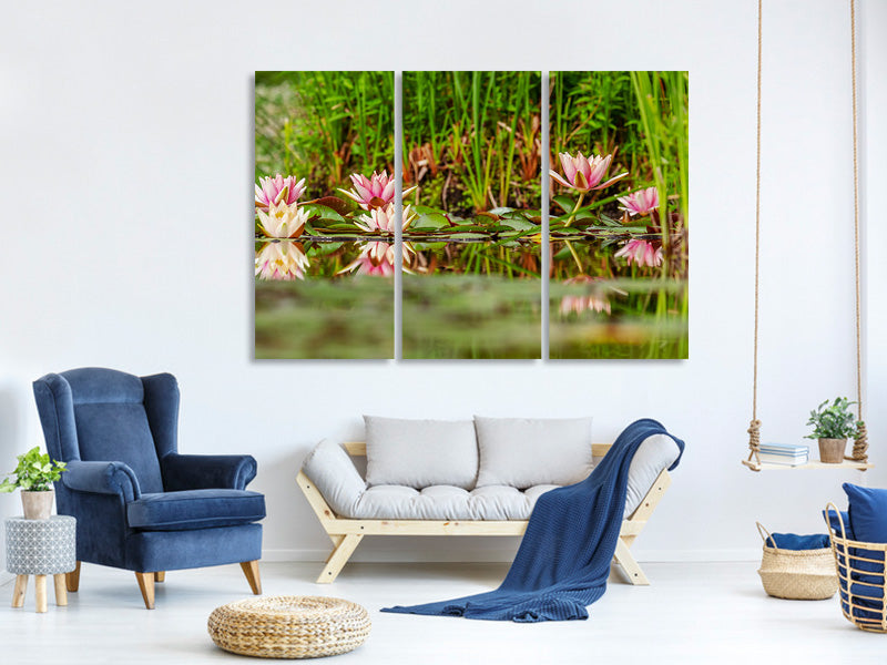 3-piece-canvas-print-wild-water-lilies