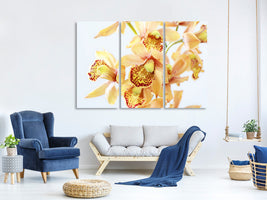 3-piece-canvas-print-yellow-orchid