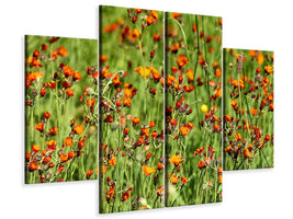 4-piece-canvas-print-hawkweeds