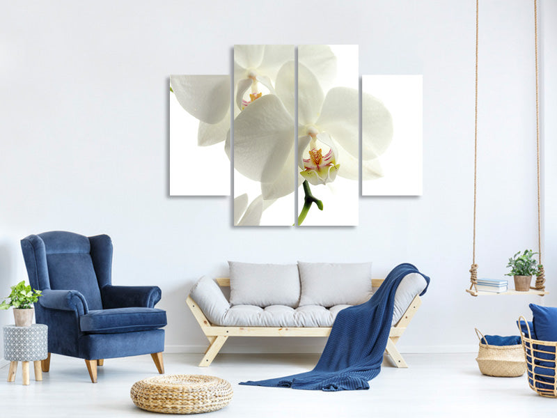 4-piece-canvas-print-orchids-bloom