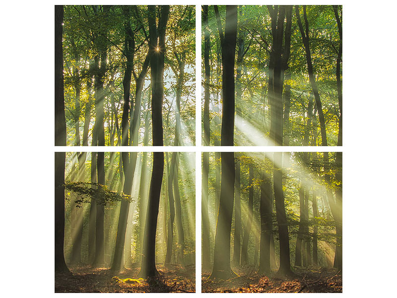 4-piece-canvas-print-sunny-start-to-the-day