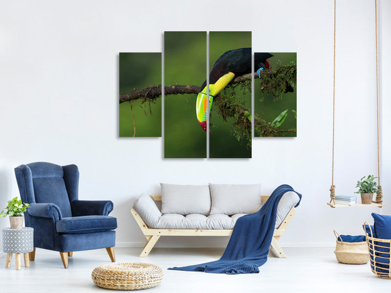4-piece-canvas-print-the-colors-of-costa-rica