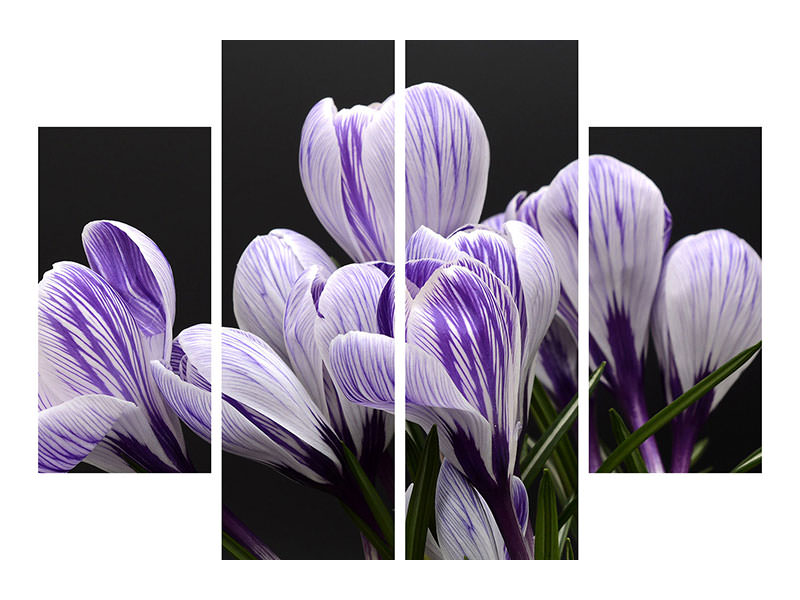 4-piece-canvas-print-the-crocus