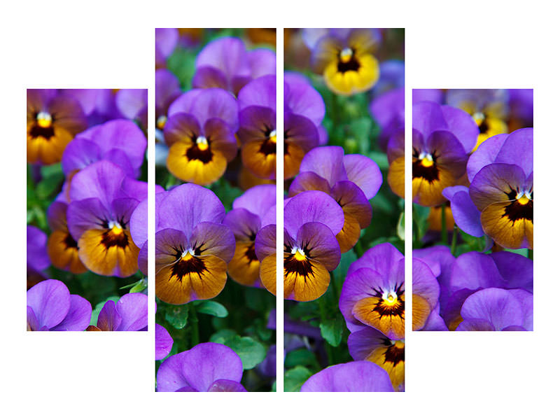 4-piece-canvas-print-the-pansies