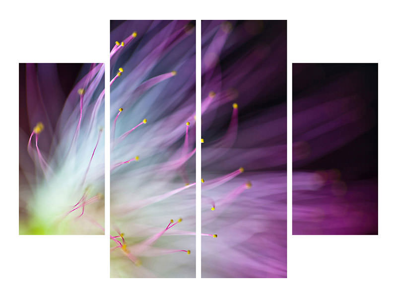 4-piece-canvas-print-the-will-o-the-wisp