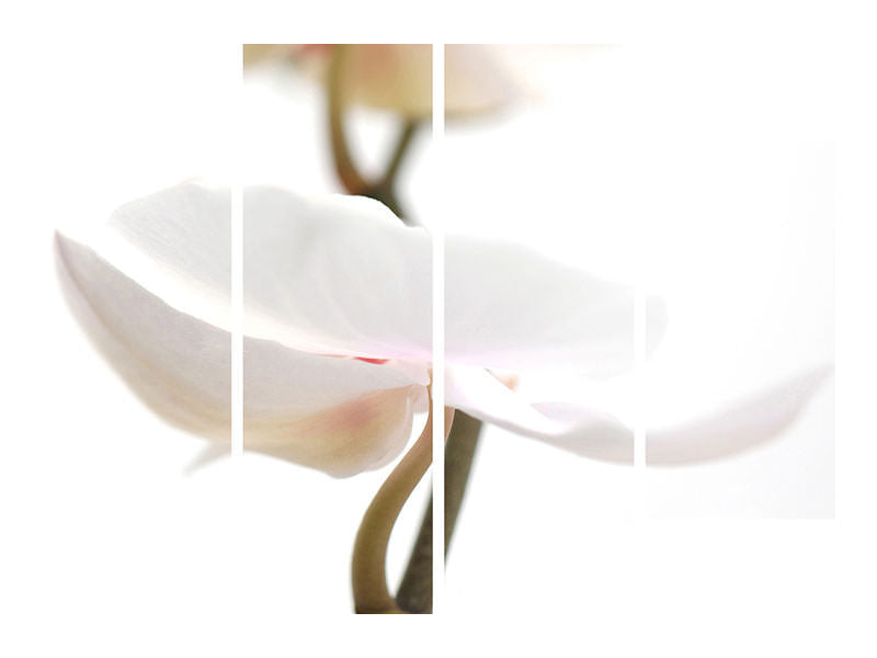 4-piece-canvas-print-xxl-orchid-flower